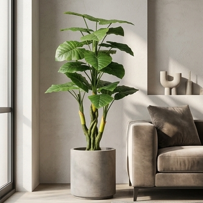 A tall green houseplant with large glossy leaves in a light gray concrete pot, placed beside a beige sofa in a modern living room with soft natural light.