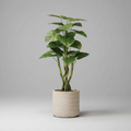 A tall potted artificial green plant with large glossy leaves, displayed in a modern room next to a brown leather armchair and a dark wood-paneled wall.